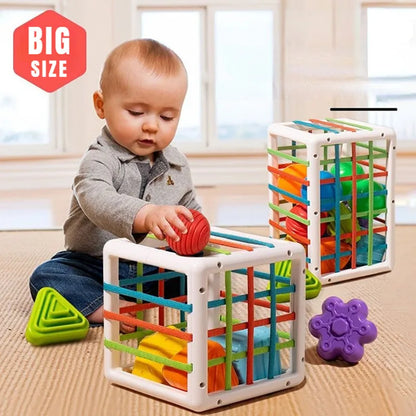 Colorful Shape Blocks